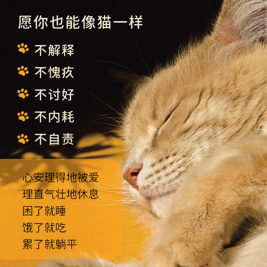 允许自己 像猫一样 心理学书籍允许一切发生低能耗生活哲学书籍自我疗愈自渡自愈讨好型人格 商品图2