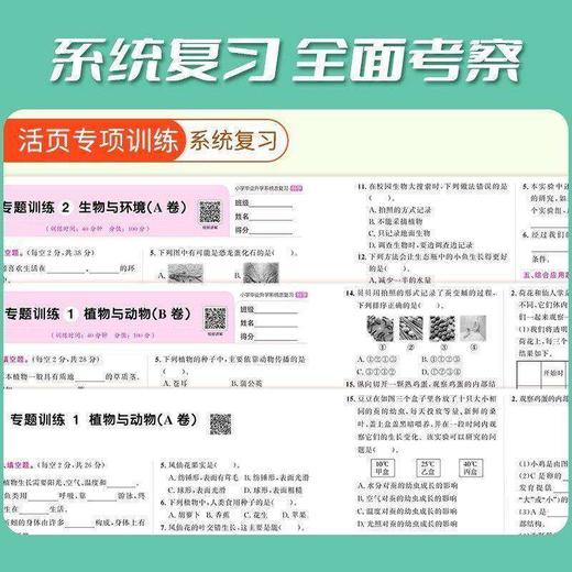 2026春阳光同学小学毕业升学系统总复习语文数学英语科学小学知识梳理考点大全全真卷一本全 商品图3