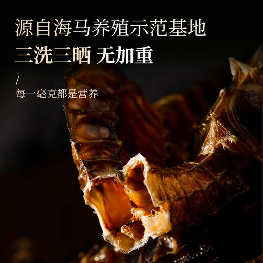 【福东海 福建海马】 一公一母 三洗三晒 自然晾干 商品图3