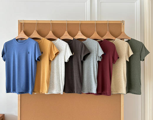 拉夫劳伦小马刺绣圆领花纱短袖tee031302 商品图7