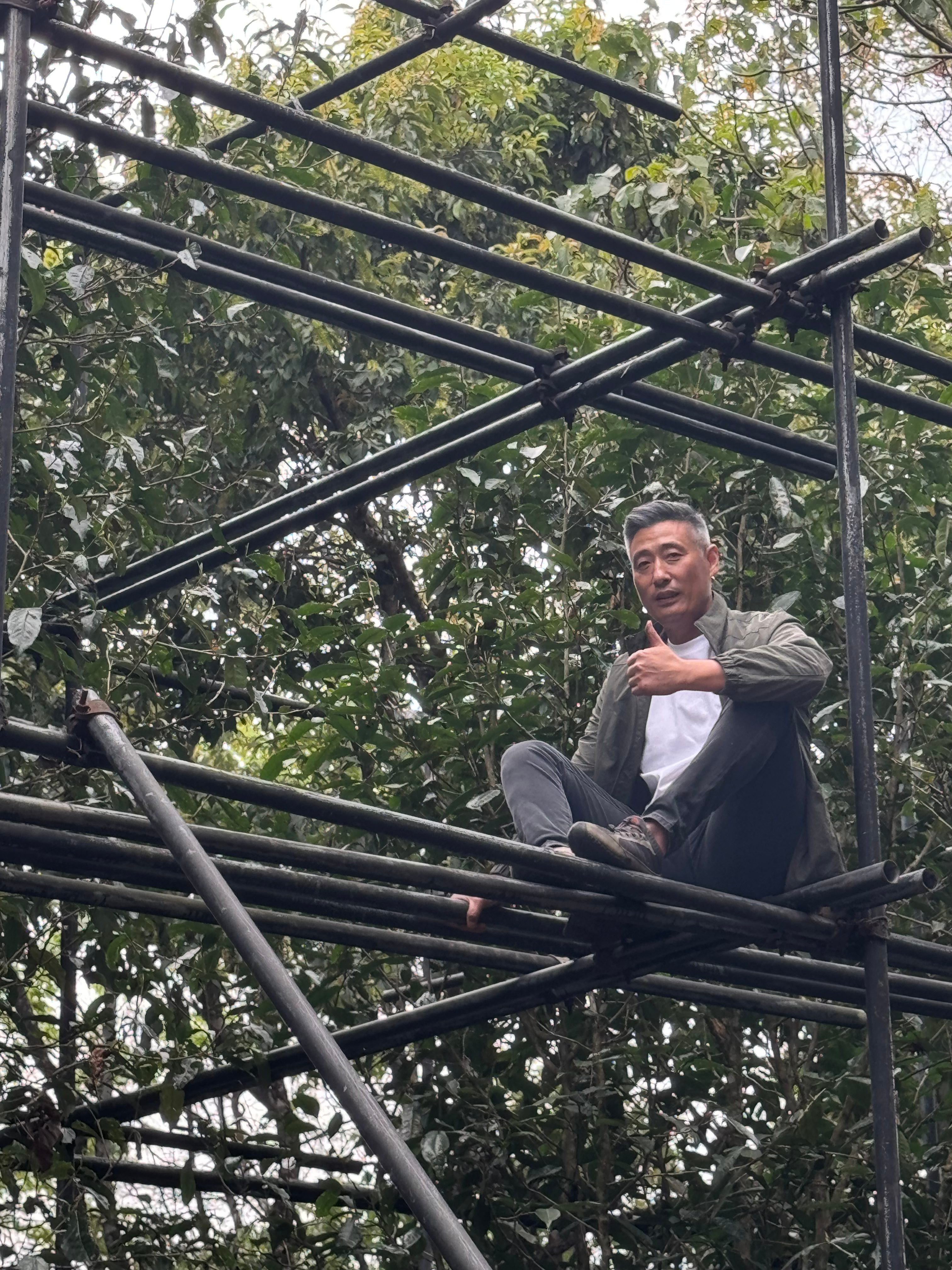 【即将售罄】【高奢好茶】【犀牛塘高杆】2026年春茶预售，犀牛塘唯二的两棵大高杆，第二年采摘品质超绝，稀缺资源！喜欢好茶的不要错过了