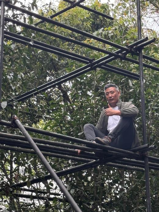 【即将售罄】【高奢好茶】【犀牛塘高杆】2026年春茶预售，犀牛塘唯二的两棵大高杆，第二年采摘品质超绝，稀缺资源！喜欢好茶的不要错过了 商品图0