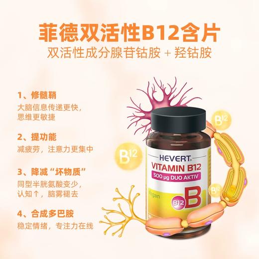 Hevert菲德双活性B12含片180片【德国直邮 下单请提供身份证正反面照片】 商品图2