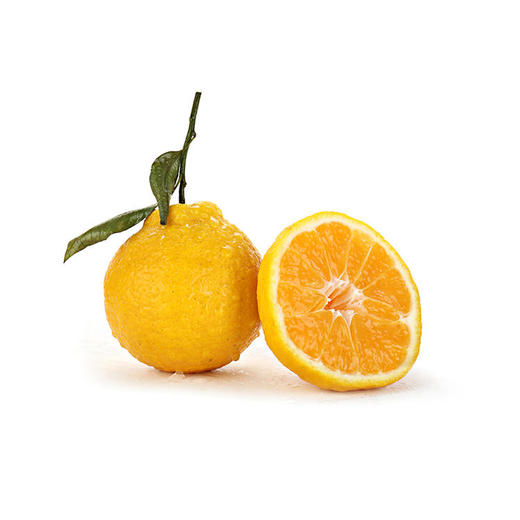 柠檬不知火 果肉脆嫩 香甜细腻 柠檬的清香和不知火的甘甜 商品图3