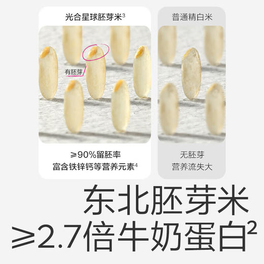 光合星球婴幼儿胚芽米粥（山药薏米味）100g 商品图1