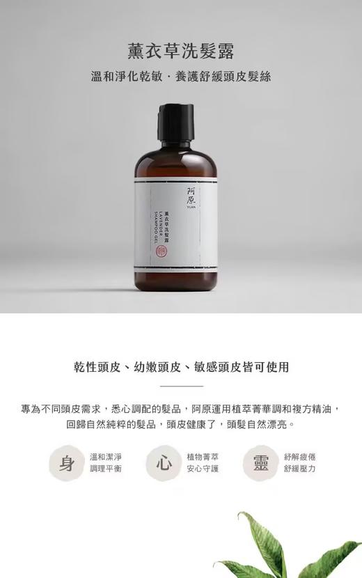【订单实付低于299元，不发货】阿原  薰衣草洗发露250ml（PCR版）  9902010807-有效期至202705 商品图1
