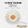 的幸均衡之翼 6 号羽毛球 飞行稳定落点精准训练比赛专用 12 只装 商品缩略图2