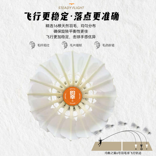 的幸均衡之翼 6 号羽毛球 飞行稳定落点精准训练比赛专用 12 只装 商品图2