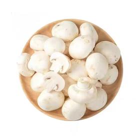 【ZCWJ】   口蘑  鲜蘑菇  食用菌菇 白蘑菇 口菇 双孢菇 煲汤炒菜蔬菜