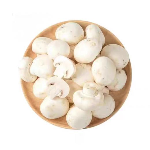 【ZCWJ】   口蘑  鲜蘑菇  食用菌菇 白蘑菇 口菇 双孢菇 煲汤炒菜蔬菜 商品图0