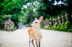 【五一】<日本6天半自助游-深圳直飞>东京&大阪各1天自由活动、京都金阁寺、奈良神鹿公园、忍野八海、和服变身体验、伏见稻荷大社、富士山五合目、富士芝樱公园、东京大学、银座、秋叶原动漫街
