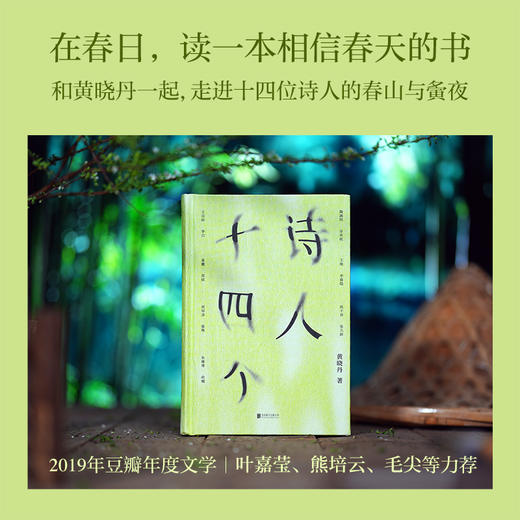 诗人十四个 古典诗词+心理学，探寻自我安顿生命 商品图1