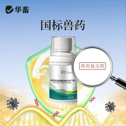 高效氯氰菊酯溶液水产养殖杀虫中华鳋锚头鳋三代虫指环虫青鱼草鱼 商品图2
