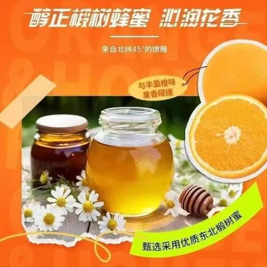 健力宝 橙蜜味运动饮料 560ml/瓶 商品图2