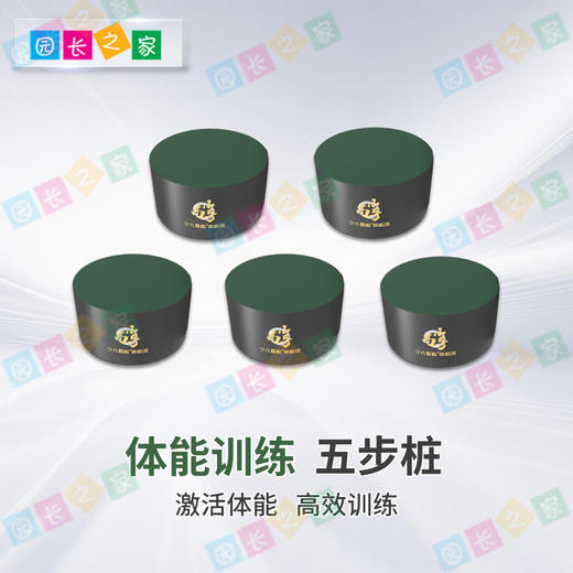 体能跑酷五步桩梅花桩 商品图0