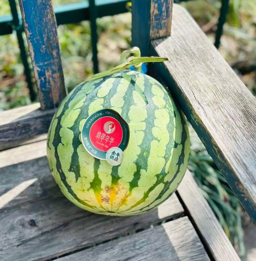 翡翠蒂升级版翡翠年华无籽西瓜，脆甜好吃，皮薄多汁，口感脆爽，甜蜜至极	个个优质精挑细选无籽大西瓜，带您体验最高端的西瓜品质。 商品图3