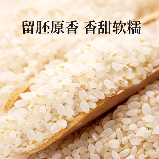 【北大荒】优谷系列  生态胚芽米2.5kg 商品图1