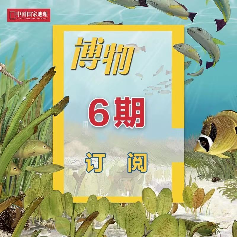 《博物》2026年3月起 6期订阅 包邮