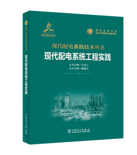 现代配电系统工程实践