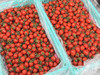 红宝石玲珑小番茄（散称49.8/2斤称重补差 多退少补） 商品缩略图1