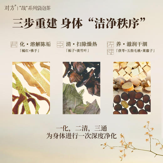 【悠哉养生茶 骆仰仰】对方悠哉茯苓五指毛桃茶养生茶组合茶包 商品图2