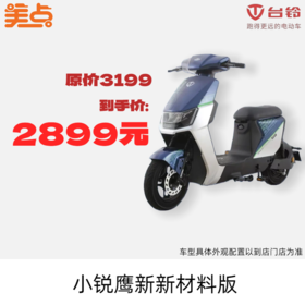 美点-台铃-小锐鹰新新材料版