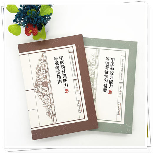 【套装2本】中医药经典能力等级考试指南+备要（一二三级）谷晓红 主编（全三级考试指导用书）内经伤寒论金匮要略温病学四大经典 商品图1