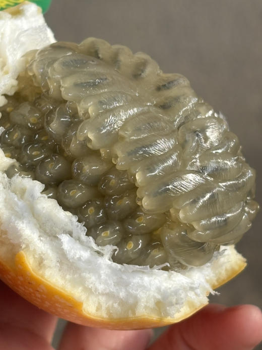 热情果夏威夷引进种植于云南西双版纳，有着独特美妙的口感，纯甜无酸，清新自然，充满着热情！ 商品图5