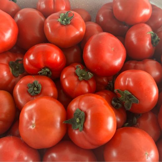 【顺丰发货】红宝石高糖西红柿番茄 口感绝佳！甜度高达9.8以上 自然成熟采摘 鲜嫩多汁 商品图2