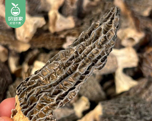 2026年云南新季头茬羊肚菌（干货3-8破口等级）/1包（约250g）生产日期：26年3月 商品图2