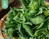 【叼鲜蔬】宁夏新鲜苏州青苔/1份（约300g） 商品缩略图1