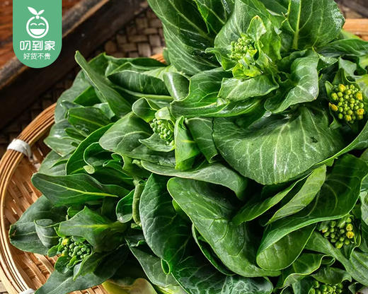 【叼鲜蔬】宁夏新鲜苏州青苔/1份（约300g） 商品图1