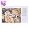 预售 【中商原版】Drawing Nature 进口艺术 绘制自然 Princeton University Press 商品缩略图2