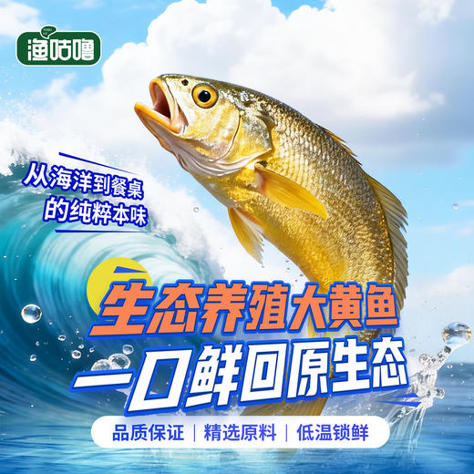 国家地理标志🔥💥不愧是“国鱼”👍【宁德鲜冻大黄鱼】 商品图0