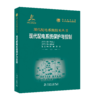 现代配电系统保护与控制 商品缩略图0