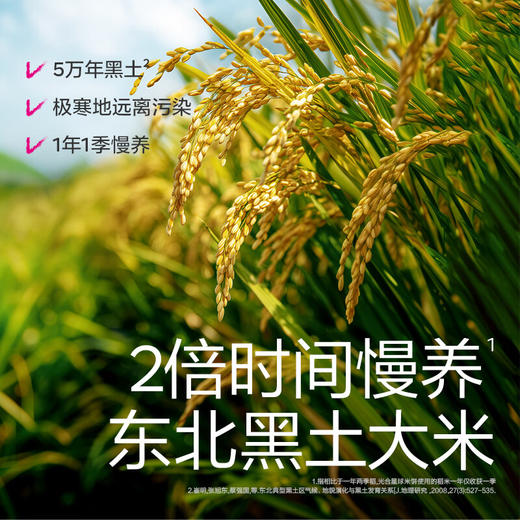 光合星球婴幼儿缤纷米饼50g 商品图4