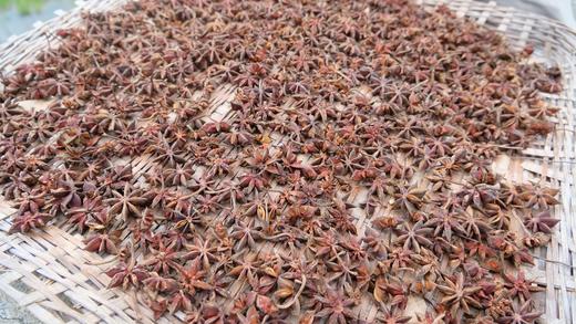 生态八角 100g 产地：广东广州 商品图2