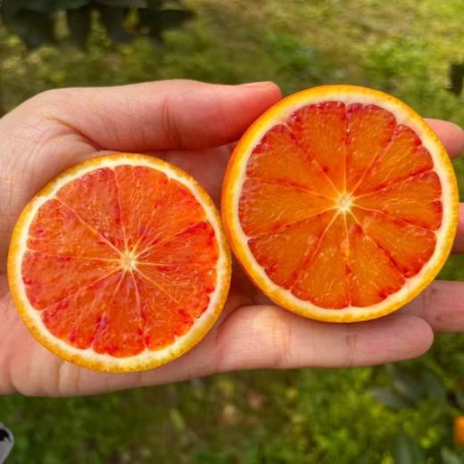 塔罗科血橙#酸甜可口 果实饱满 肉嫩多汁 现摘现发花青素满满 商品图1