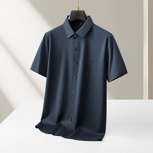 【DKP】【含桑蚕丝】大依优型大码男装夏季冰丝短袖衬衫翻领商务休闲上衣 商品图2