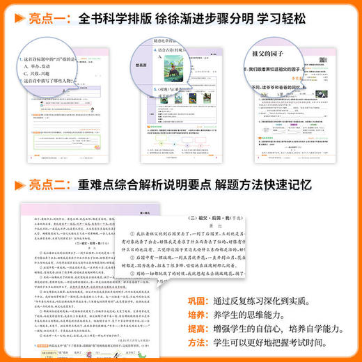 2026春拔尖特训一二三四五六年级下册语文数学英语人教版小学教材同步训练必刷题一课一练学霸笔记课堂作业本 商品图2