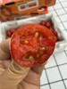 爆汁糖心小番茄 商品缩略图1