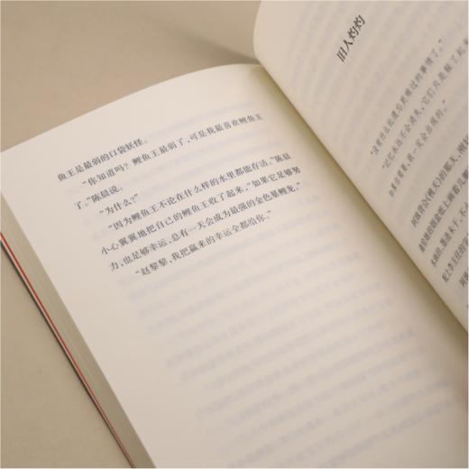 青山入旧年 商品图2