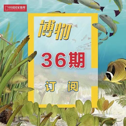 《博物》 2026年3月起 36期订阅 包邮 商品图0