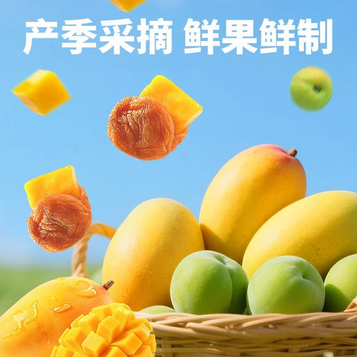 兴隆栈梅有芭乐227g 商品图1