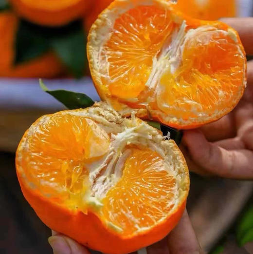 石家庄优选仓库速达，糖包&春见耙耙柑，果肉细腻，颗粒分明，清甜爆汁，入口化渣，净重6.5-6.8斤礼盒装 商品图2