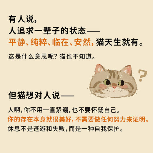 允许自己 像猫一样 心理学书籍允许一切发生低能耗生活哲学书籍自我疗愈自渡自愈讨好型人格 商品图4