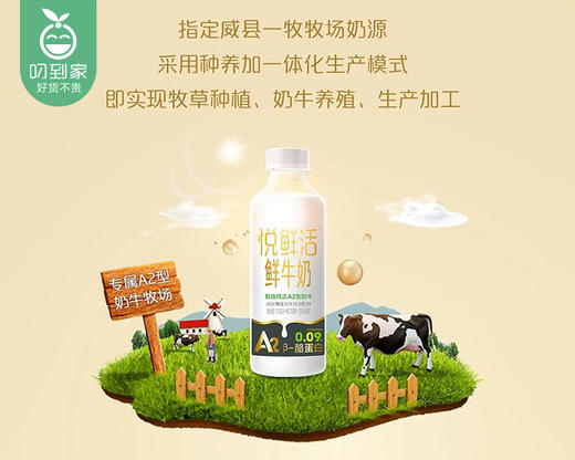 悦鲜活A2β-酪蛋白鲜牛奶（950ml/瓶）生产日期：4月3日 保质期：冷藏19天 商品图2