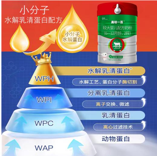 高培一百 A2-β酪蛋白 草饲奶 双重水解小分子+氨基酸小分子2段 商品图0
