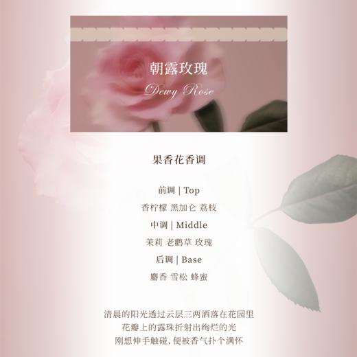 香物来信 岛屿来信系列 朝露玫瑰20ml 商品图2