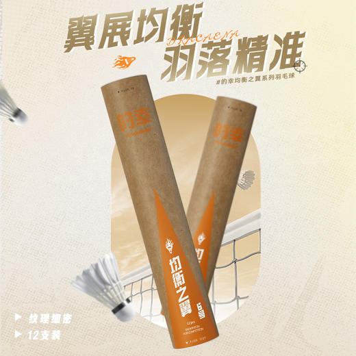 的幸均衡之翼 6 号羽毛球 飞行稳定落点精准训练比赛专用 12 只装 商品图0